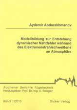 Modellbildung zur Entstehung dynamischer Nahtfehler während des Elektronenstrahlschweißens an Atmosphäre