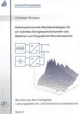 Selbstoptimierende Betriebsstrategien für ein hybrides Energiespeichersystem aus Batterien und Doppelschichtkondensatoren