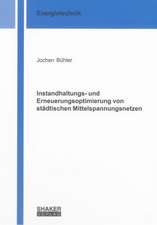 Instandhaltungs- und Erneuerungsoptimierung von städtischen Mittelspannungsnetzen