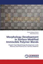 Morphology Development in Surface Modified Immiscible Polymer Blends