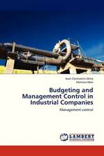 Budgeting and Management Control in Industrial Companies