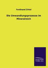 Die Umwandlungsprozesse Im Mineralreich