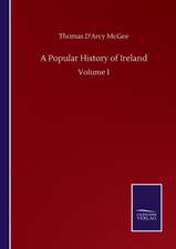 A Popular History of Ireland