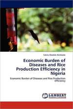 Economic Burden of Diseases and Rice Production Efficiency in Nigeria