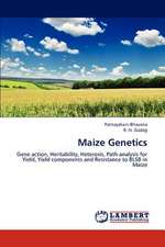 Maize Genetics