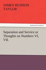 Separation and Service or Thoughts on Numbers VI, VII.