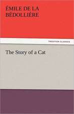 The Story of a Cat