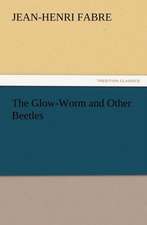 The Glow-Worm and Other Beetles