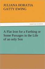 A Flat Iron for a Farthing or Some Passages in the Life of an Only Son: A Journey Through the Land of Doubt and Back Again a Life Story