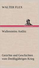 Wallensteins Antlitz