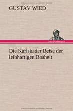 Die Karlsbader Reise Der Leibhaftigen Bosheit: Erzahlung in Neun Briefen