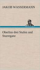 Oberlins Drei Stufen Und Sturreganz: Das Lallen- Und Narrenbuch