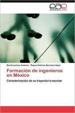 Formacion de Ingenieros En Mexico: Una Aproximacion a Su Comprension.