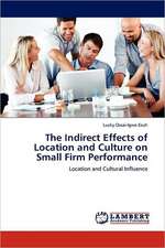 The Indirect Effects of Location and Culture on Small Firm Performance