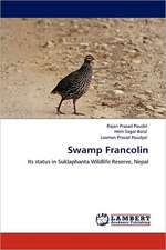 Swamp Francolin