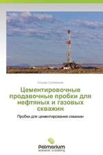 Tsementirovochnye prodavochnye probki dlya neftyanykh i gazovykh skvazhin