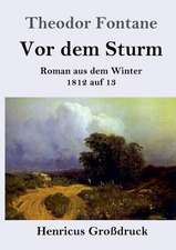 Vor dem Sturm (Großdruck)