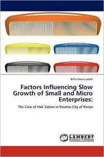 Factors Influencing Slow Growth of Small and Micro Enterprises