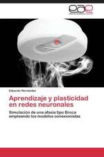 Aprendizaje y plasticidad en redes neuronales