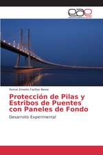 Proteccion de Pilas y Estribos de Puentes Con Paneles de Fondo