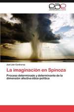 La Imaginacion En Spinoza