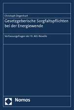 Gesetzgeberische Sorgfaltspflichten bei der Energiewende