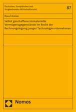 Selbst Geschaffene Immaterielle Vermogensgegenstande Im Recht Der Rechnungslegung Junger Technologieunternehmen: Theorien Des Judischen Staates