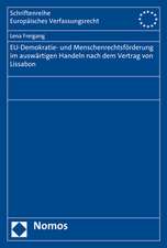 Eu-Demokratie- Und Menschenrechtsforderung Im Auswartigen Handeln Nach Dem Vertrag Von Lissabon: Multidisziplinare Perspektiven