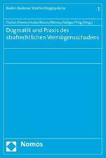 Dogmatik Und Praxis Des Strafrechtlichen Vermogensschadens: Aufsatze Zur Volkerrechtsgeschichte 2008-2015