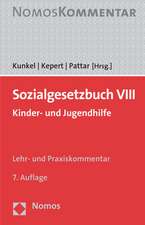 Sozialgesetzbuch VIII