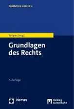 Grundlagen des Rechts