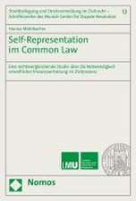 Self-Representation im Common Law