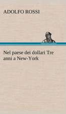 Nel Paese Dei Dollari Tre Anni a New-York: Purgatorio