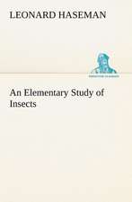 An Elementary Study of Insects