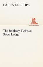 The Bobbsey Twins at Snow Lodge