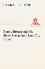 Bunny Brown and His Sister Sue at Aunt Lu's City Home