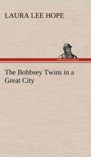 The Bobbsey Twins in a Great City