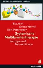Systemische Multifamilientherapie