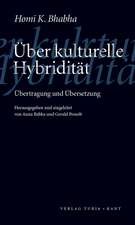 Über kulturelle Hybridität