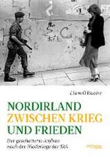 Nordirland zwischen Krieg und Frieden