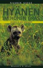 Hyänen im hohen Gras