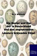 Die Nester und Eier der in Deutschland und den angrenzenden Ländern brütenden Vögel