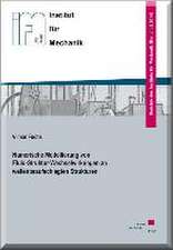 Numerische Modellierung von Fluid-Struktur-Wechselwirkungen an wellenbeaufschlagten Strukturen