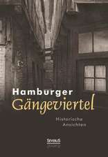 Hamburger Gangeviertel. Historische Ansichten: Meister Der Kunst