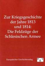 Zur Kriegsgeschichte der Jahre 1813 und 1814: Die Feldzüge der Schlesischen Armee