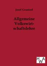 Allgemeine Volkswirtschaftslehre