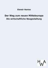 Der Weg Zum Neuen Mitteleuropa: Ein Lehrbuch Von 1922. Fur Studierende Und Konstrukteure