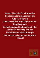 Gesetz über die Errichtung des Bundesversicherungsamts, die Aufsicht über die Sozialversicherungsträger und die Regelung von Verwaltungszuständigkeiten in der Sozialversicherung und der betrieblichen Altersfürsorge (Bundesversicherungsamtsgesetz - BVAG)