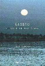 Gabbro