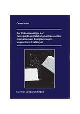 Zur Phänomenologie der Feinspartikelentstehung bei transientem mechanischem Energieeintrag in ungeordnete Festkörper